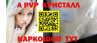 СК Можга